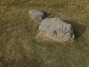 草地上的两块大石头