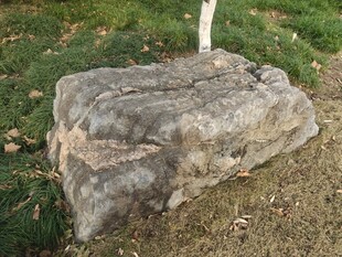 户外灰色大石头