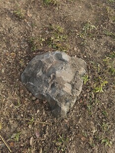 地面上的一块灰色石头