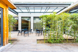 阳光庭院绿植环绕休闲空间