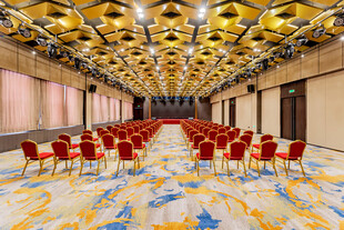 豪华宴会厅金色装饰显气派