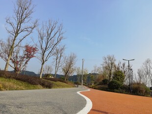 秋日公路旁的多彩景致