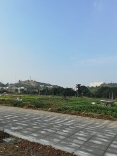 户外砖石步道与开阔绿地