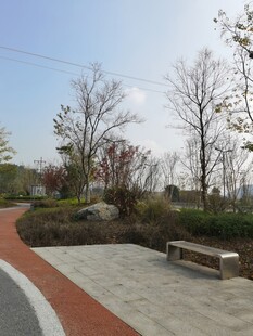 城市公园中的休闲步道景观