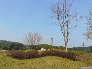 郊外自然风景景观