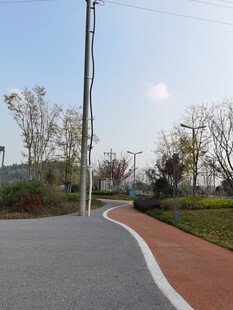 城市美丽的户外道路景观