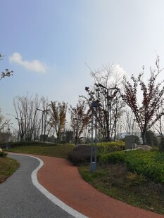 蜿蜒彩道旁的冬日景致