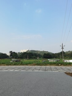 乡村公路旁的开阔风景