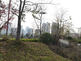 城市公园秋日景致