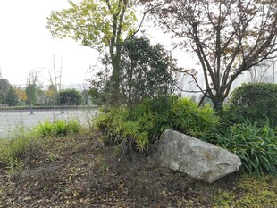 户外绿植与巨石景观