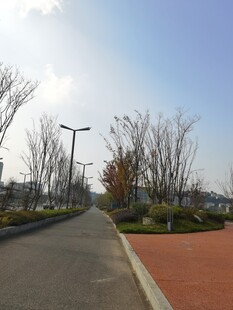 城市中整洁的户外道路景观