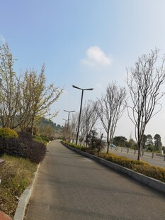 城郊宁静小路风景