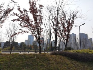 城市公园秋冬景致