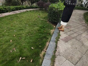 人行道旁的翠绿草坪