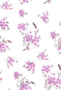粉色花卉图案无缝背景