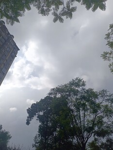 阴天树林中的建筑一角