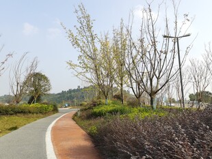 春日公园蜿蜒小径风景