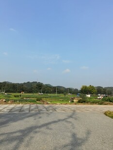 户外开阔场地与蓝天绿树