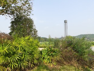 户外绿植与远处高塔景观