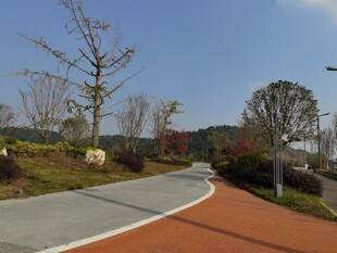 户外彩色步道景观