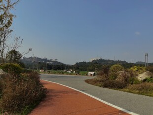 乡村柏油小路风景如画