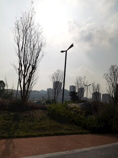 城郊空旷道路旁的萧瑟景象