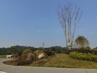 户外自然风光景观