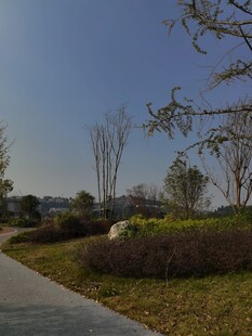 户外宁静的自然风光