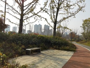 城市公园中的宁静小径