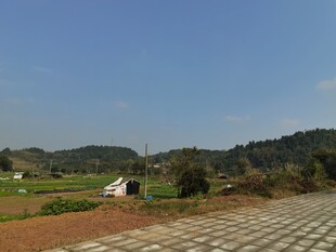 乡村田野风光美景