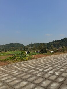 乡村砖石路开阔田园风光