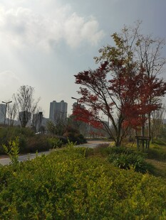 城市公园秋日美景