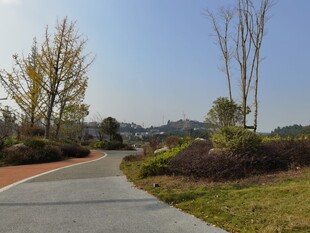 蜿蜒小路旁的自然景致