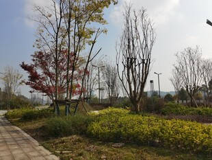 秋日公园小径风景