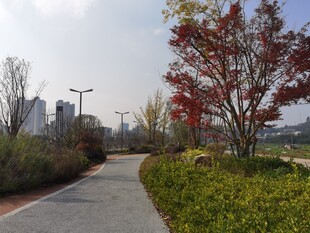 秋日公园小径美景