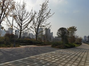 城市中开阔的砖石铺就步道