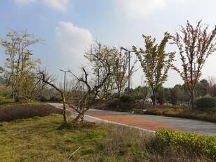 春日公园景观小径