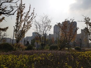 城市边的春日花草与建筑