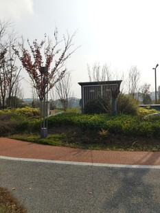 城郊路旁的绿植与小屋