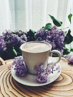 紫丁香旁的温馨咖啡时光