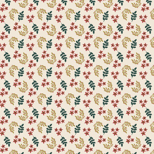 圣诞风水果图案纹理背景