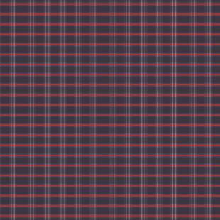 红蓝格子纹理图案