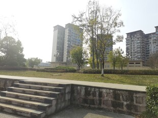 城市公园旁的现代建筑景观