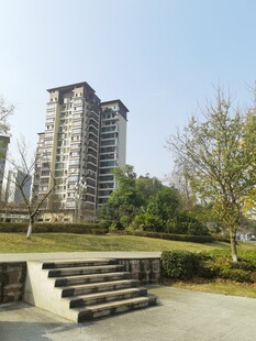 城市中高楼旁的户外景致