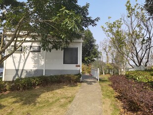 庭院小径旁的现代小屋