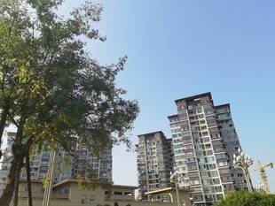 城市住宅区的绿树高楼