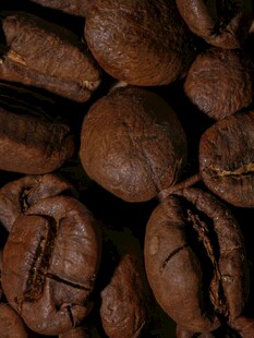 饱满咖啡豆特写