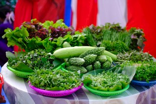 新鲜多样蔬菜摆盘展示