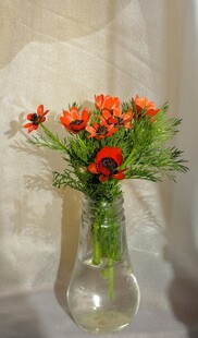 透明花瓶中的多彩花卉