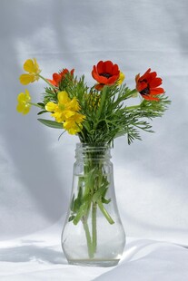 花瓶中的彩色缤纷花朵